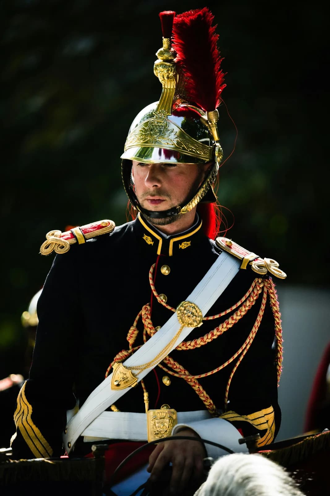 Officer in formal blue dress uniform with gold trim and braided shoulder cord
